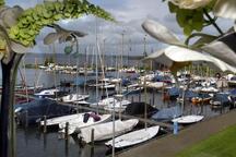 Restaurant Havenrijk