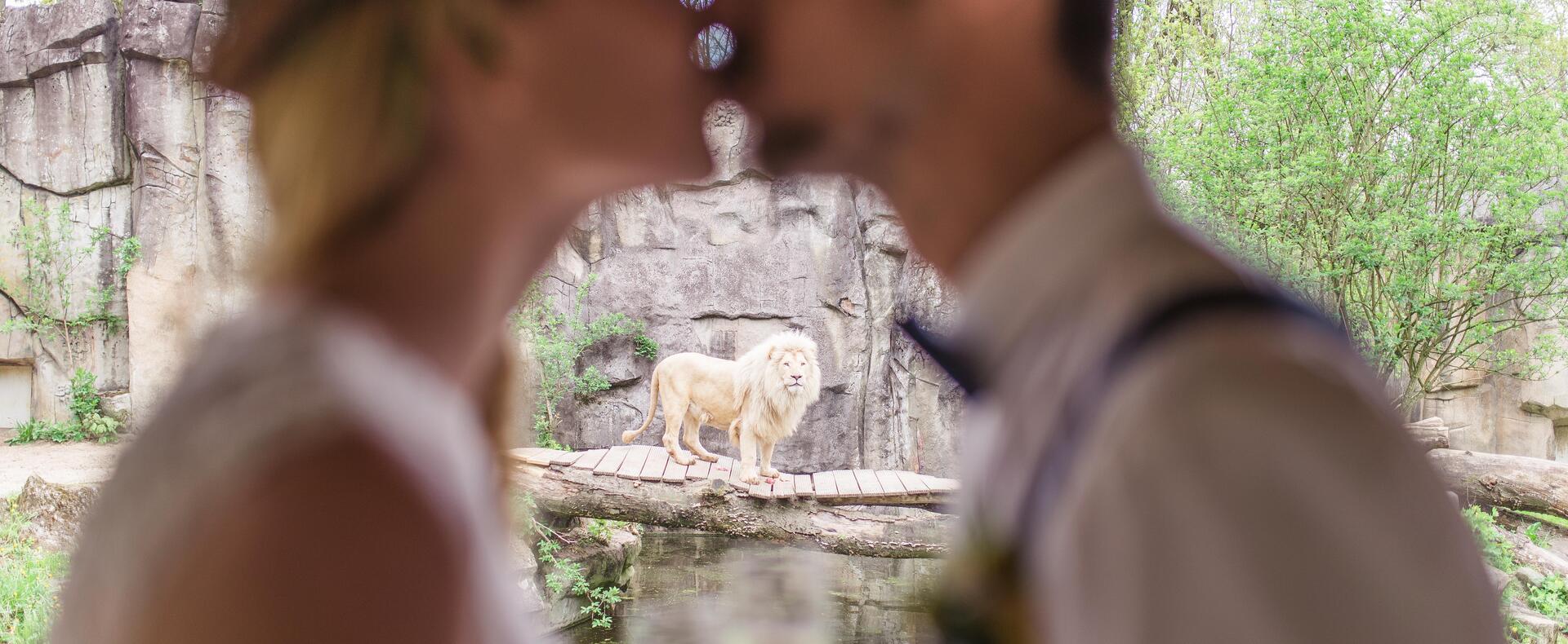 Ouwehands Dierenpark Rhenen