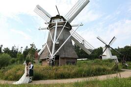 Het Nederlands Openluchtmuseum