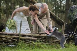 DierenPark Amersfoort