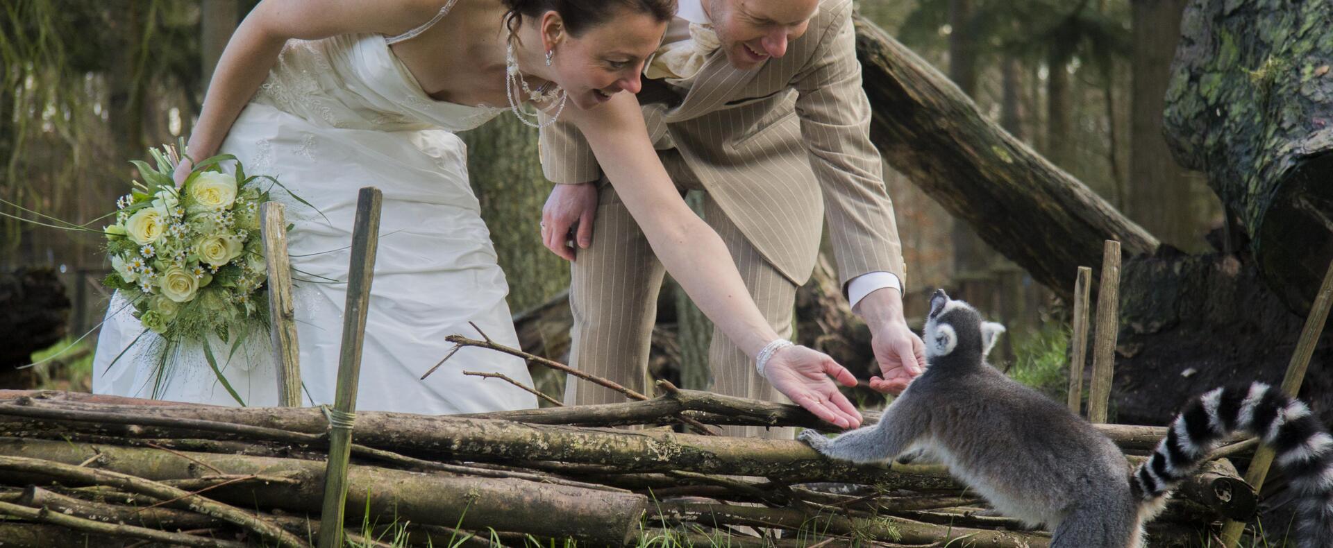 DierenPark Amersfoort