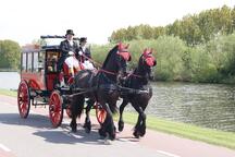 Rederij van der Meer