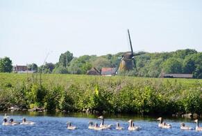 Rederij van der Meer