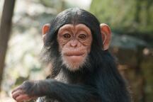 DierenPark Amersfoort