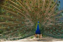 DierenPark Amersfoort