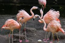 DierenPark Amersfoort