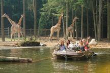 DierenPark Amersfoort