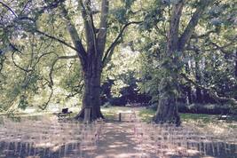 Landgoed Kasteel Geldrop