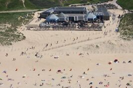 Parnassia aan Zee